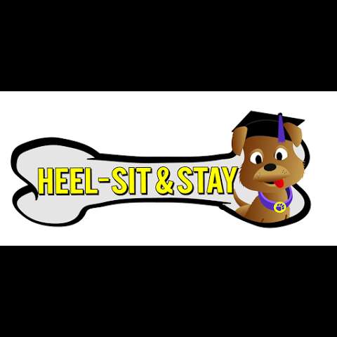 Photo: Heel Sit and Stay! Dog Obedience